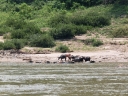 mekong (16)